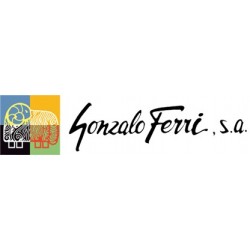 GONZALO FERRI