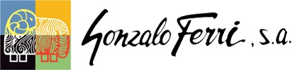 GONZALO FERRI